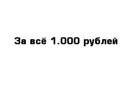 За всё 1.000 рублей